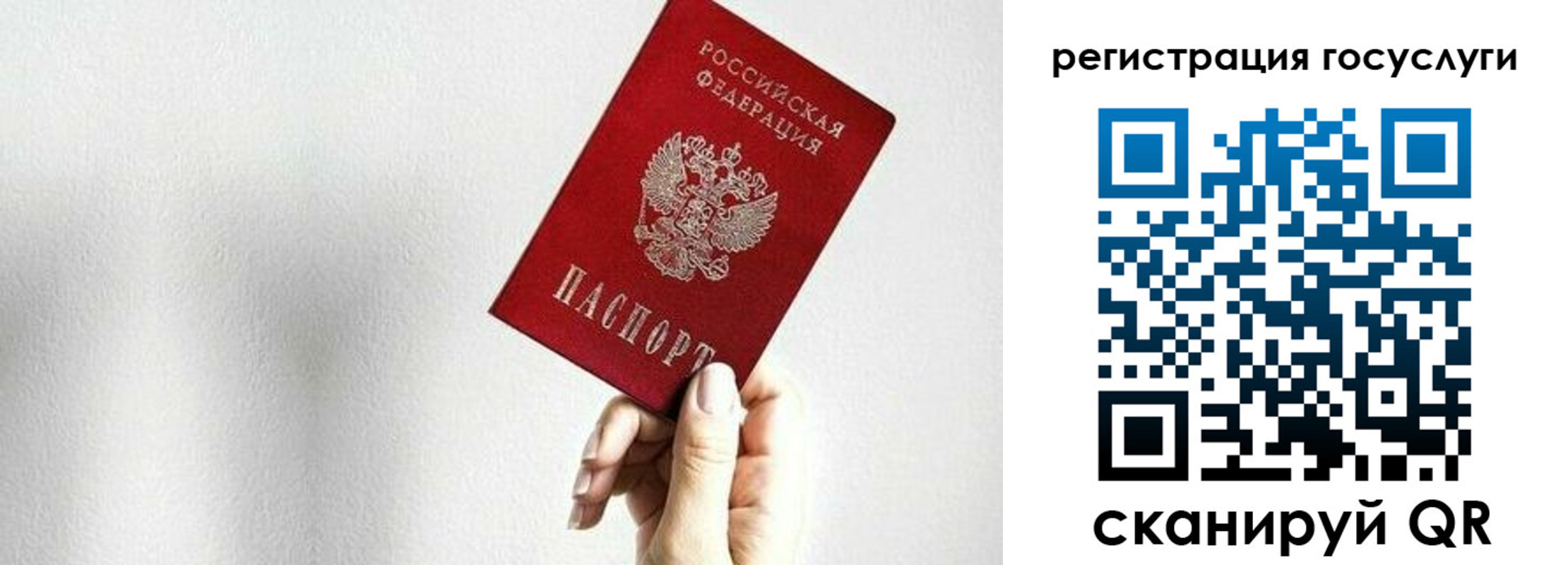 прописка гарантия в Калтане